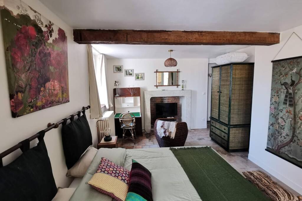 Amalouyse Studio De Charme Au Coeur Des Chateaux De Loire 蒙卢索卢瓦尔 外观 照片